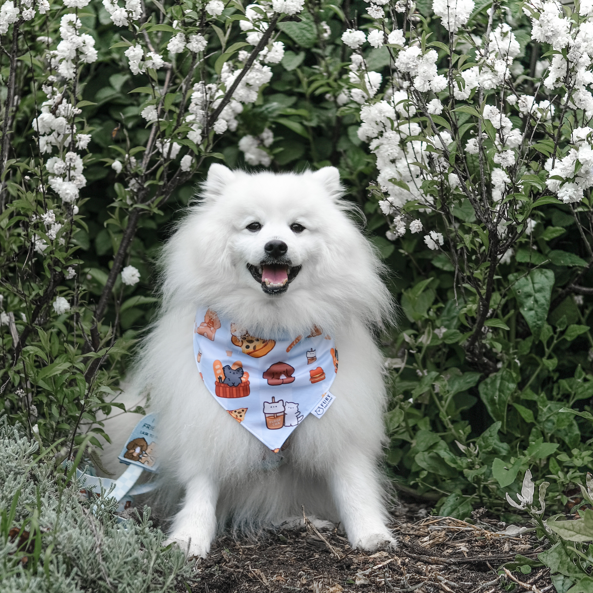 fury&friends in nyc reversible bandana