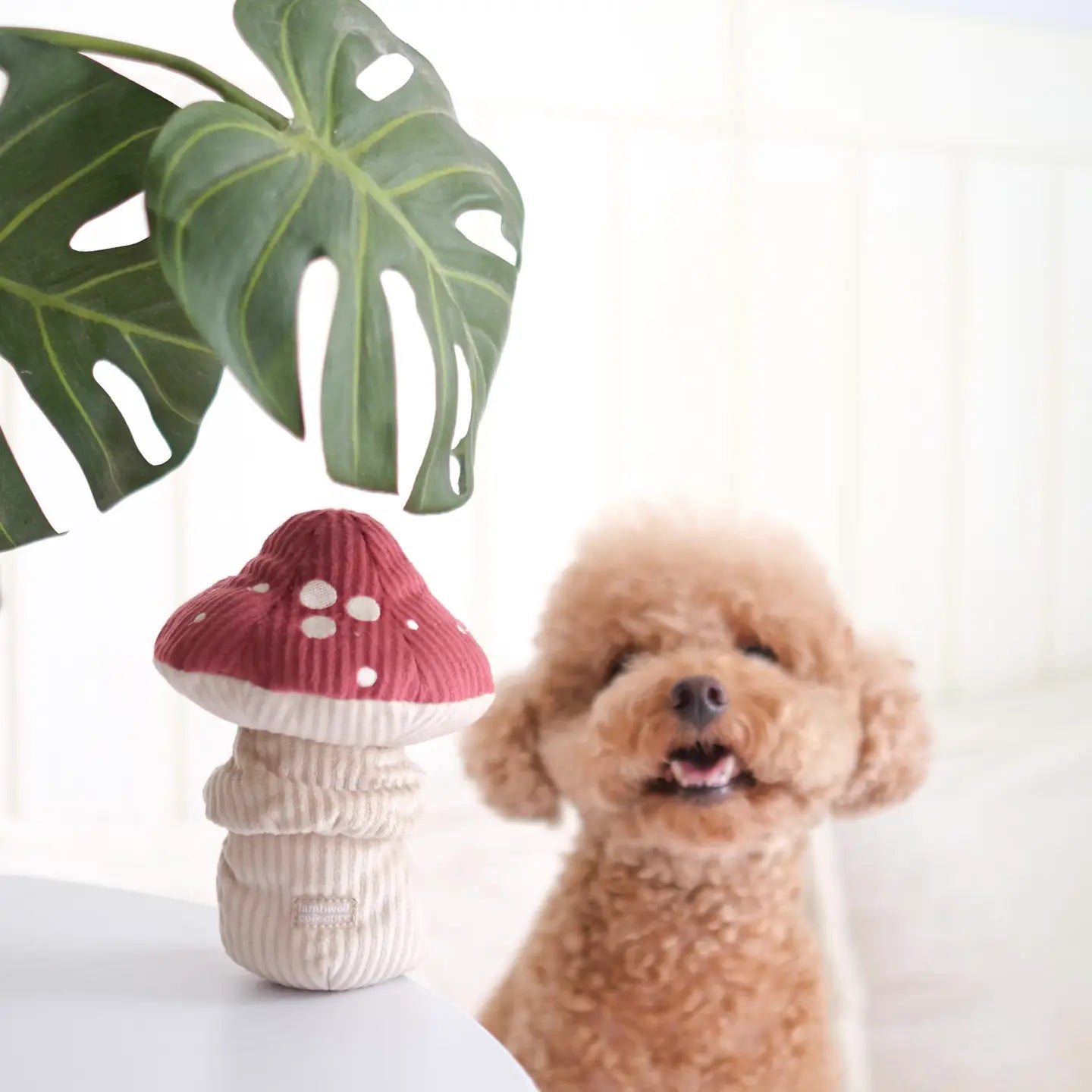 shroom squeaky snuffle toy | lambwolf co