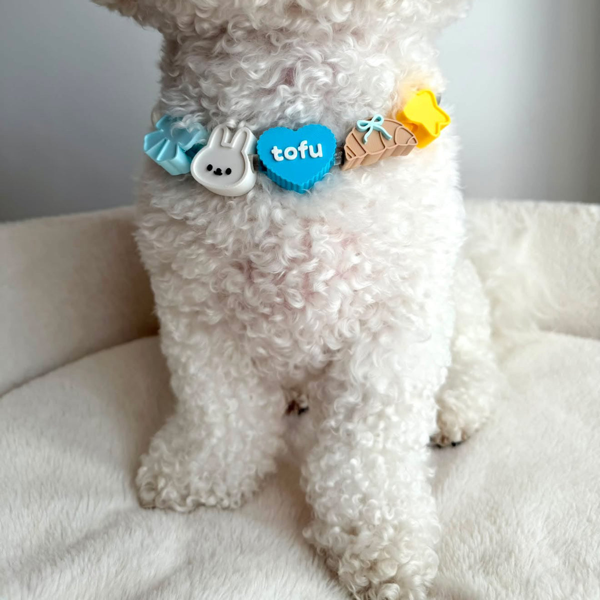 Personalised LED Night Collar Set