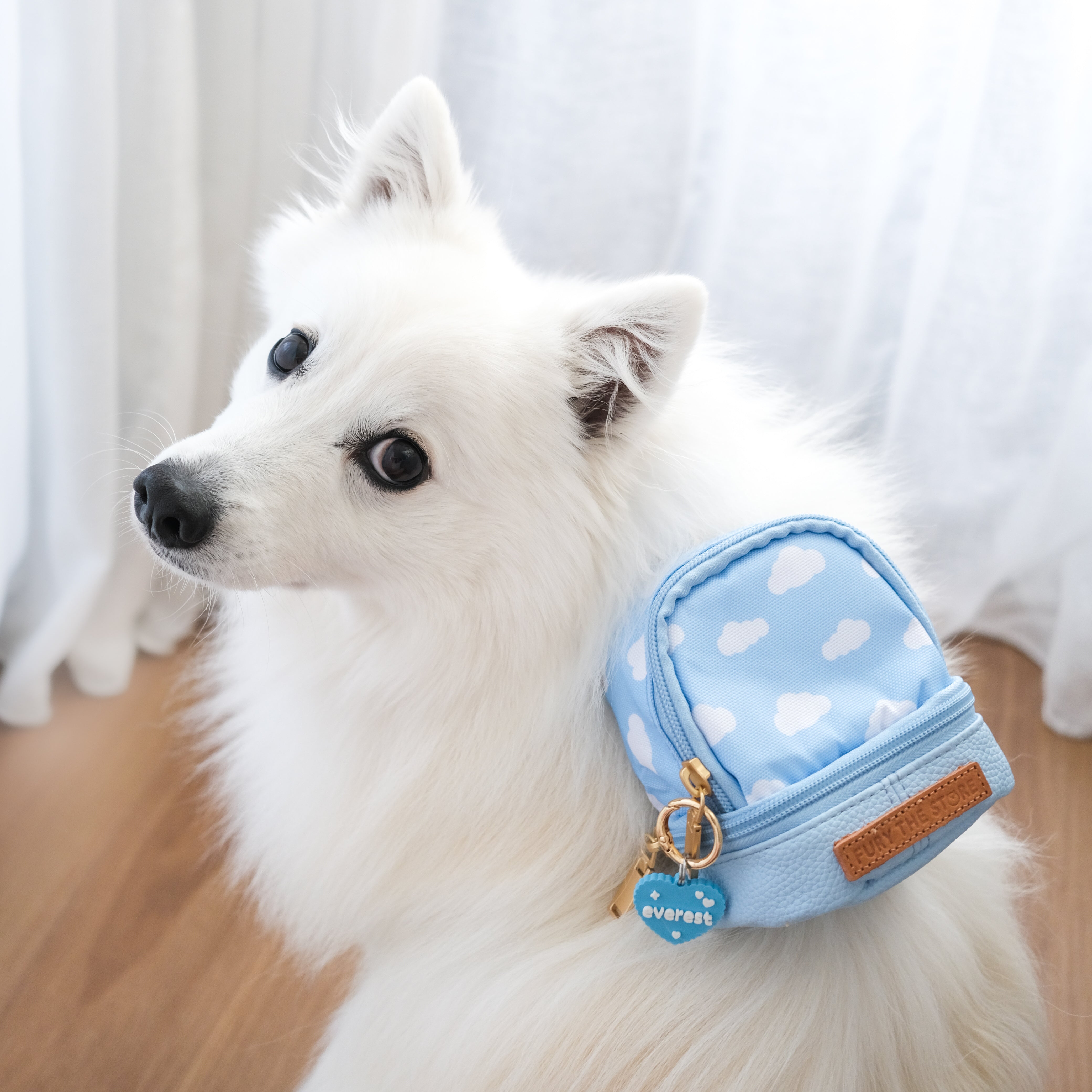 everest’s mini day pack