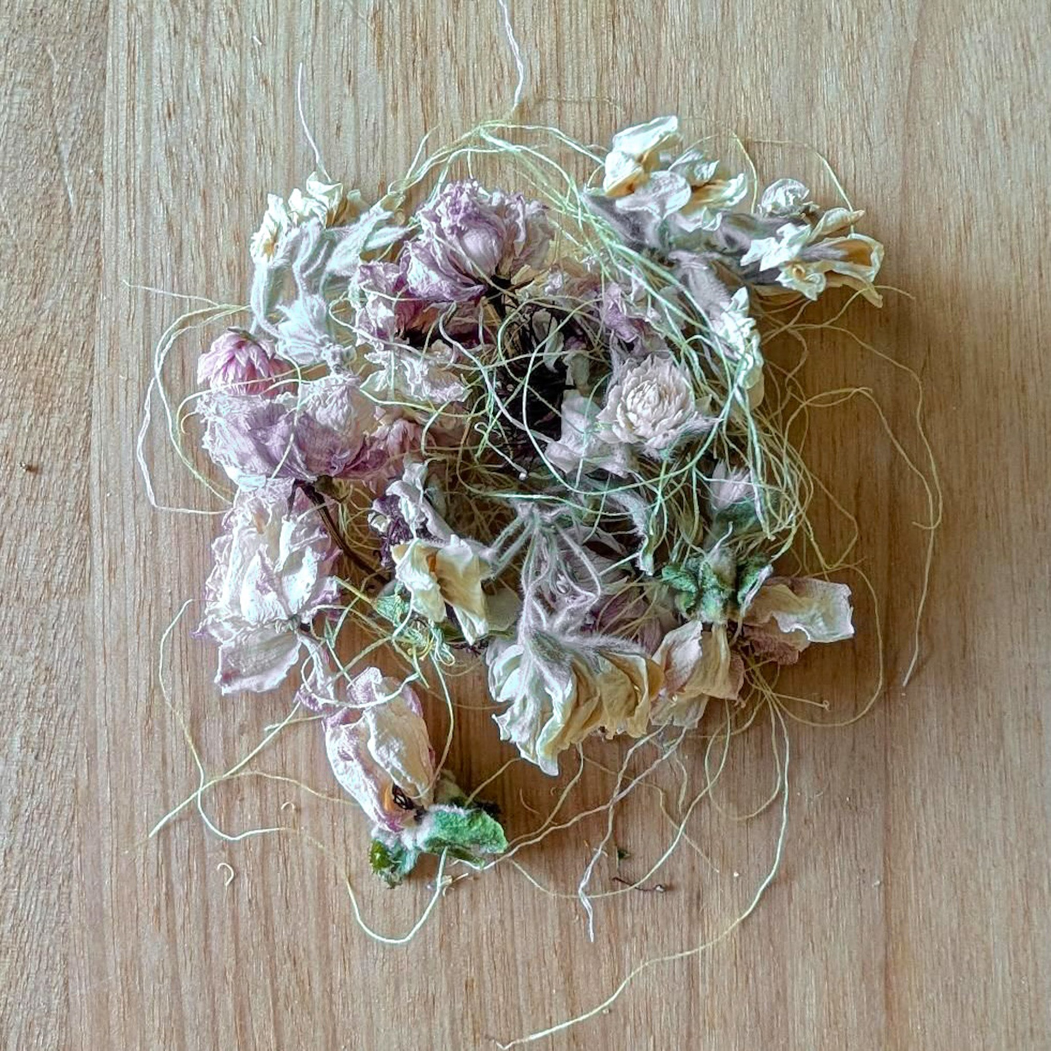misty dream confetti jar | dogs in the meadow