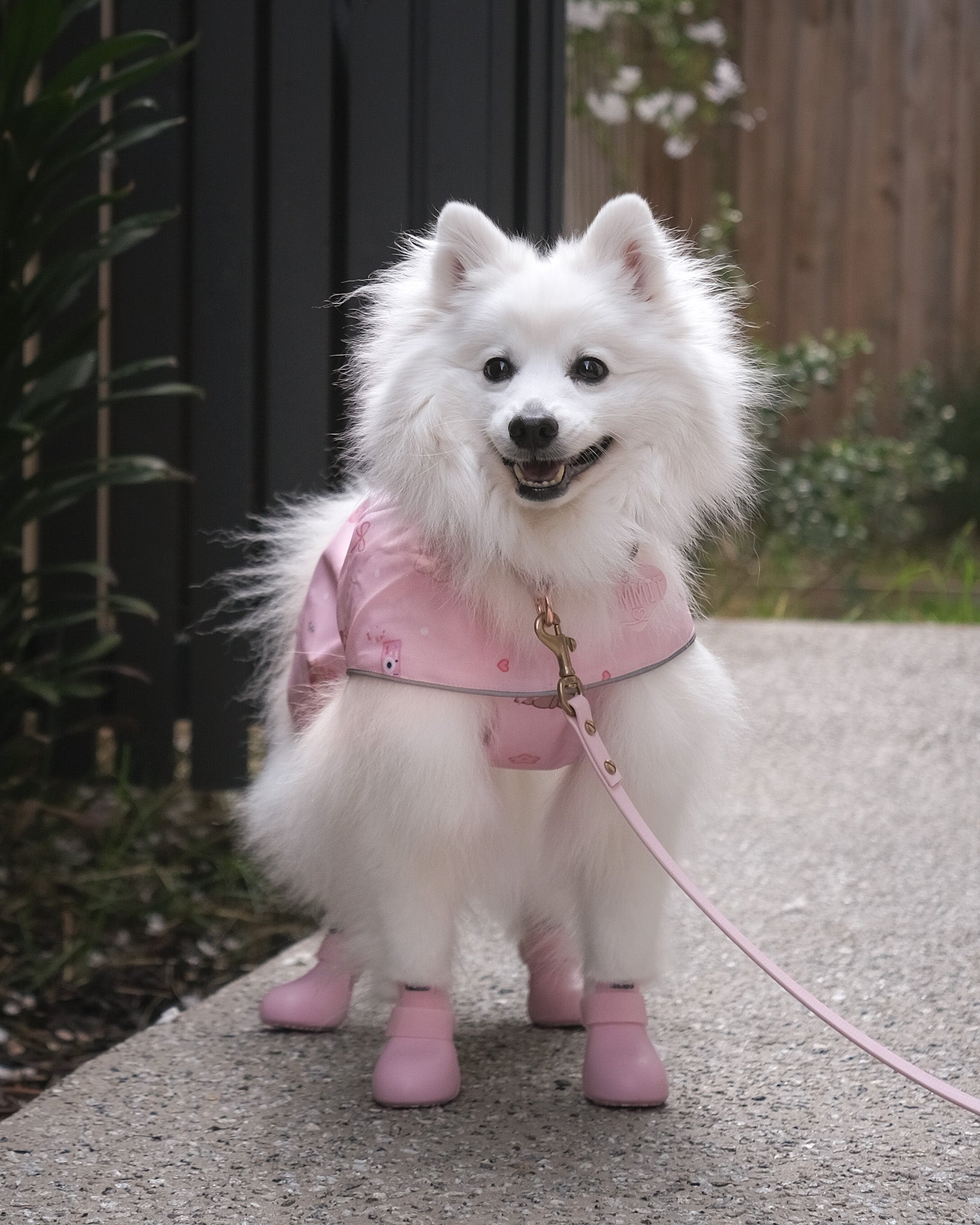the good girl reversible raincoat