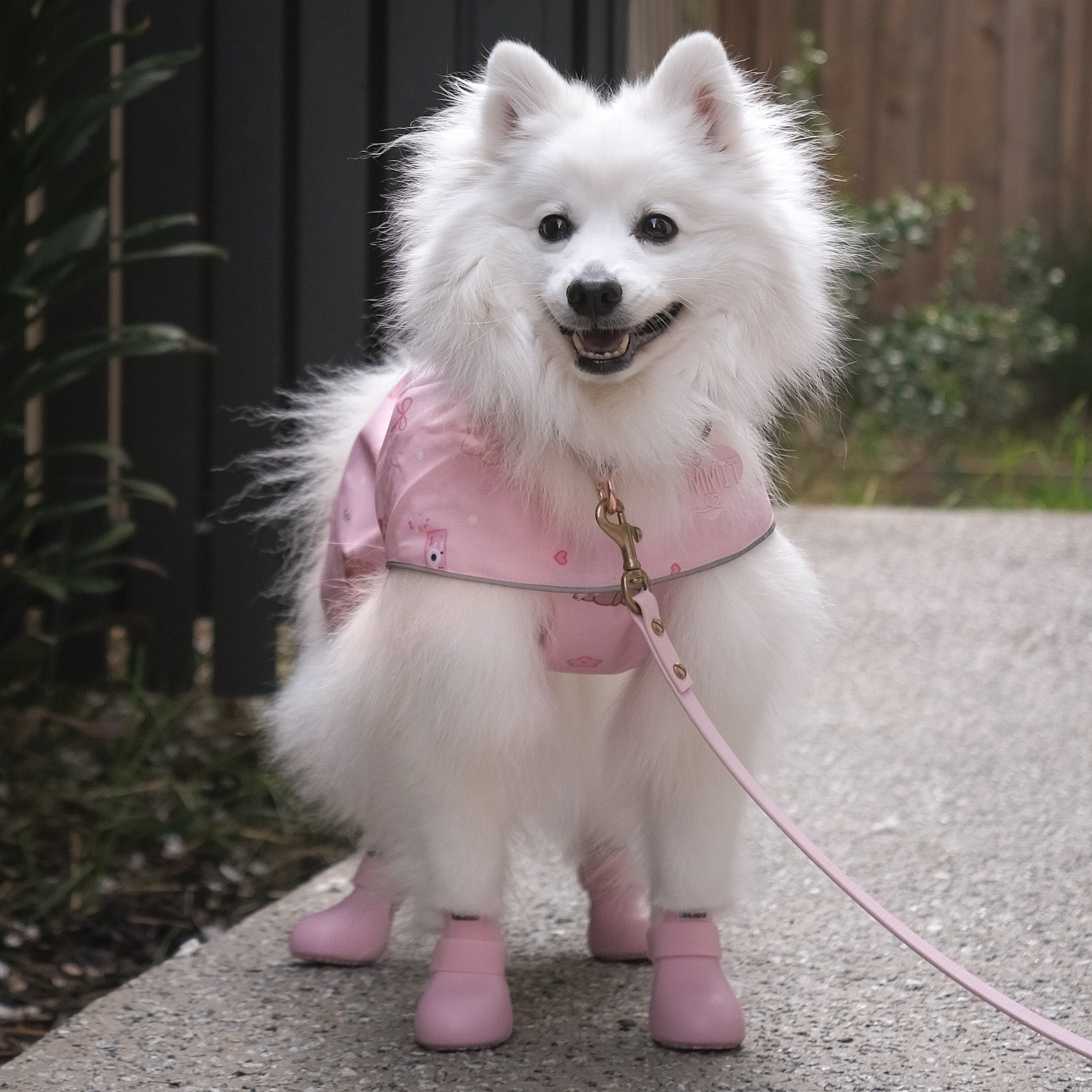 the good girl reversible raincoat 2.0 [with buckle!]