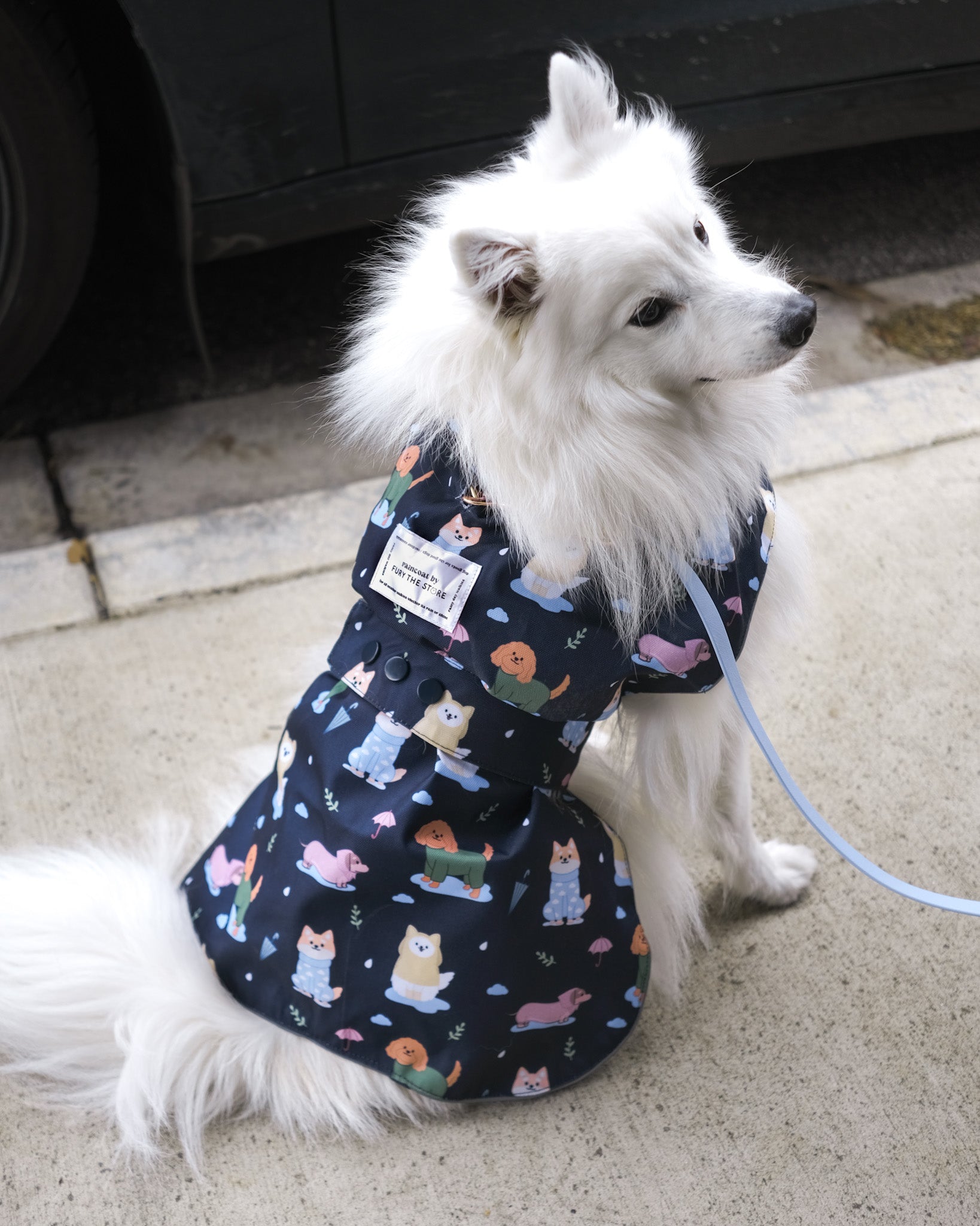 dogs in the rain reversible raincoat