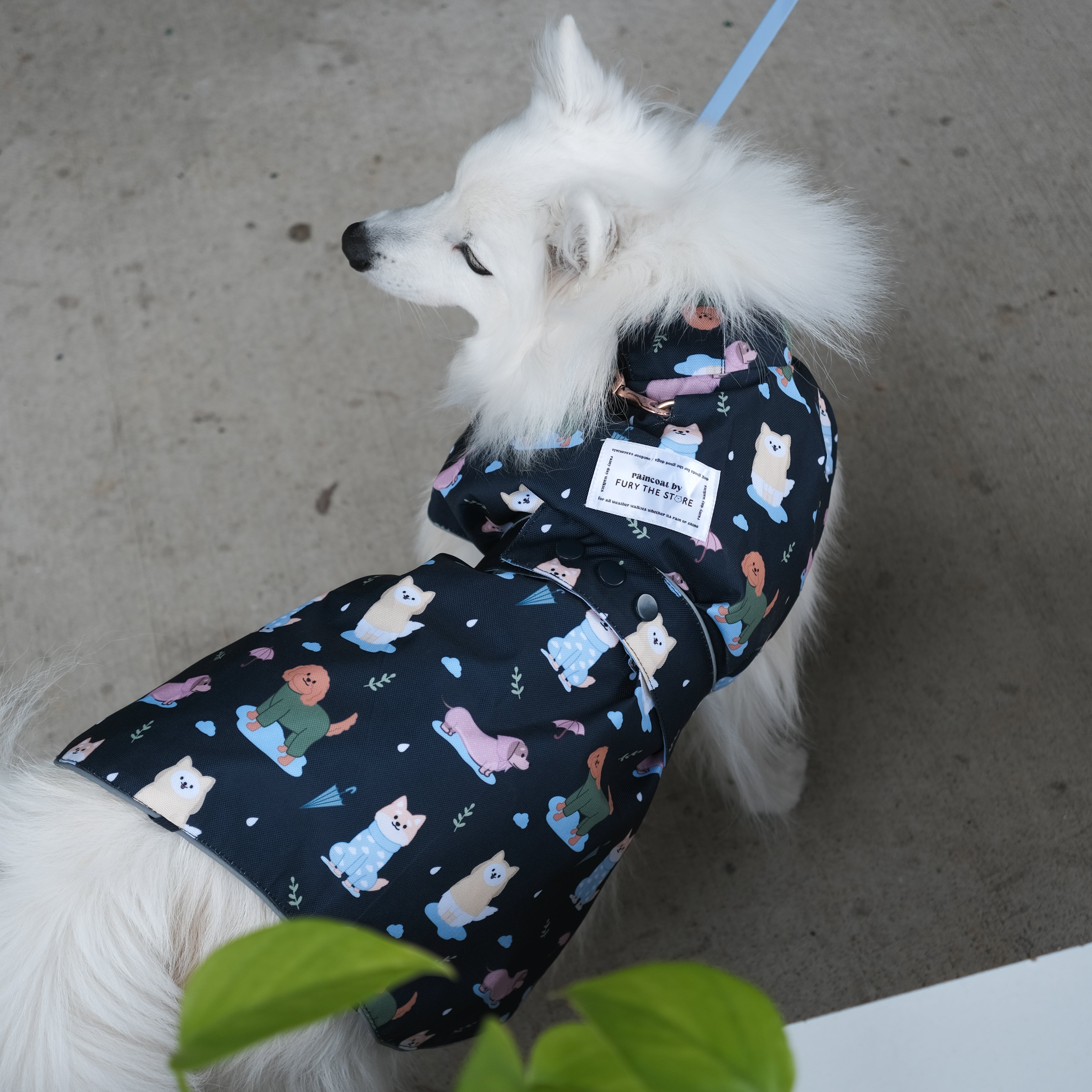 dogs in the rain reversible raincoat