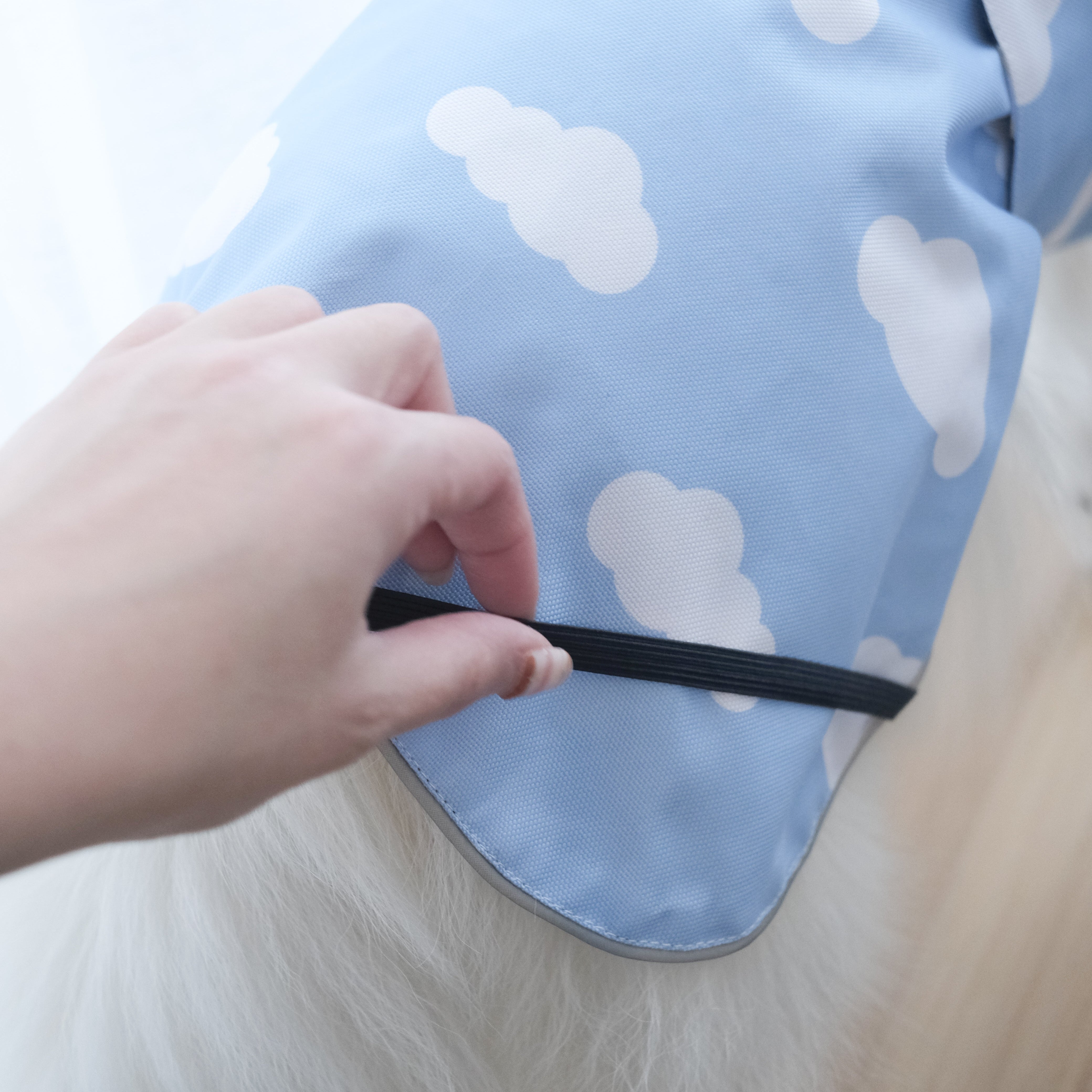 dogs in the rain reversible raincoat 2.0 [with buckle!]