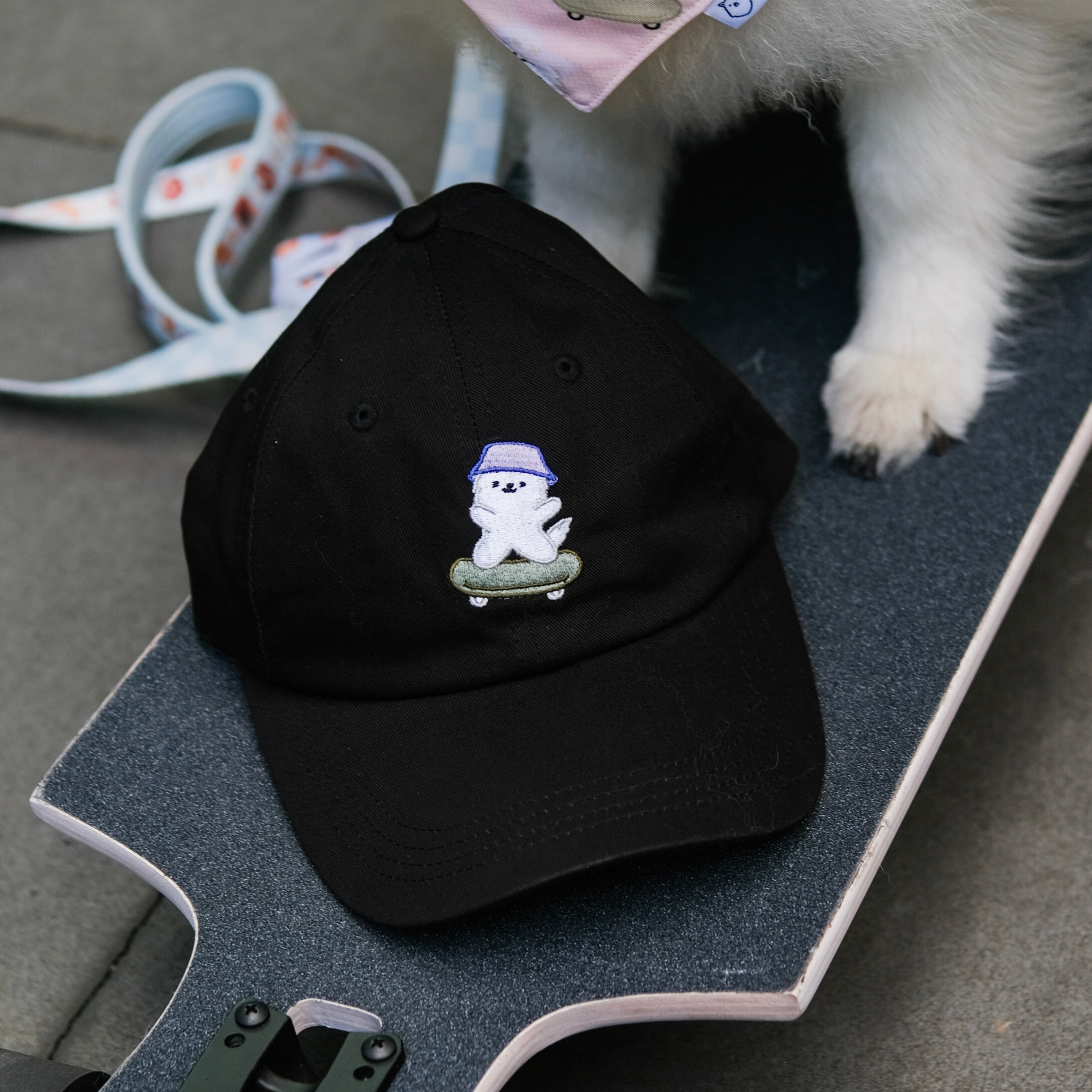fury the skater boy cap