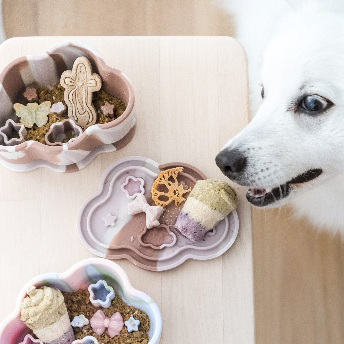 nimbus forage feeder set in neapolitan ice cream