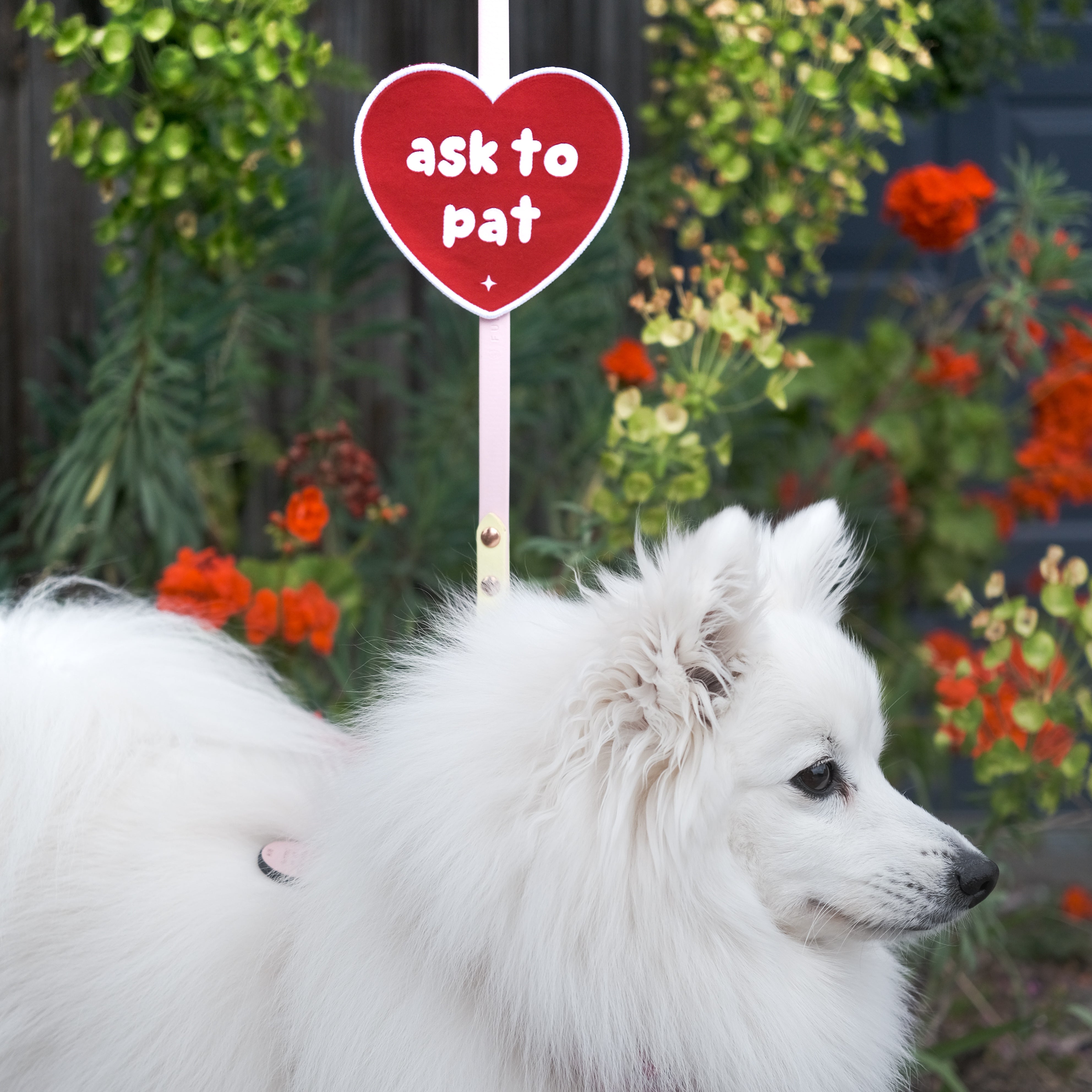 'i’m friendly' attachable patch