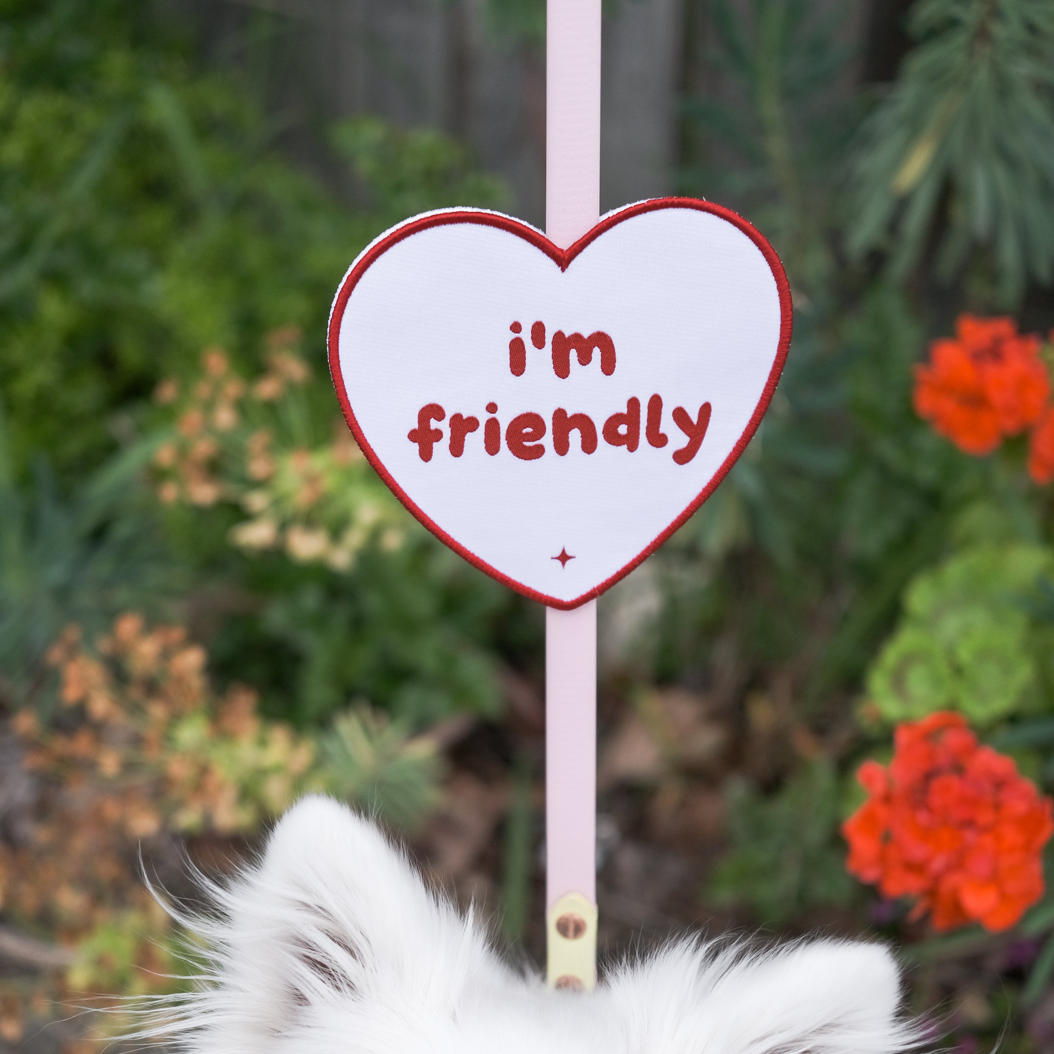 'i’m friendly' attachable patch