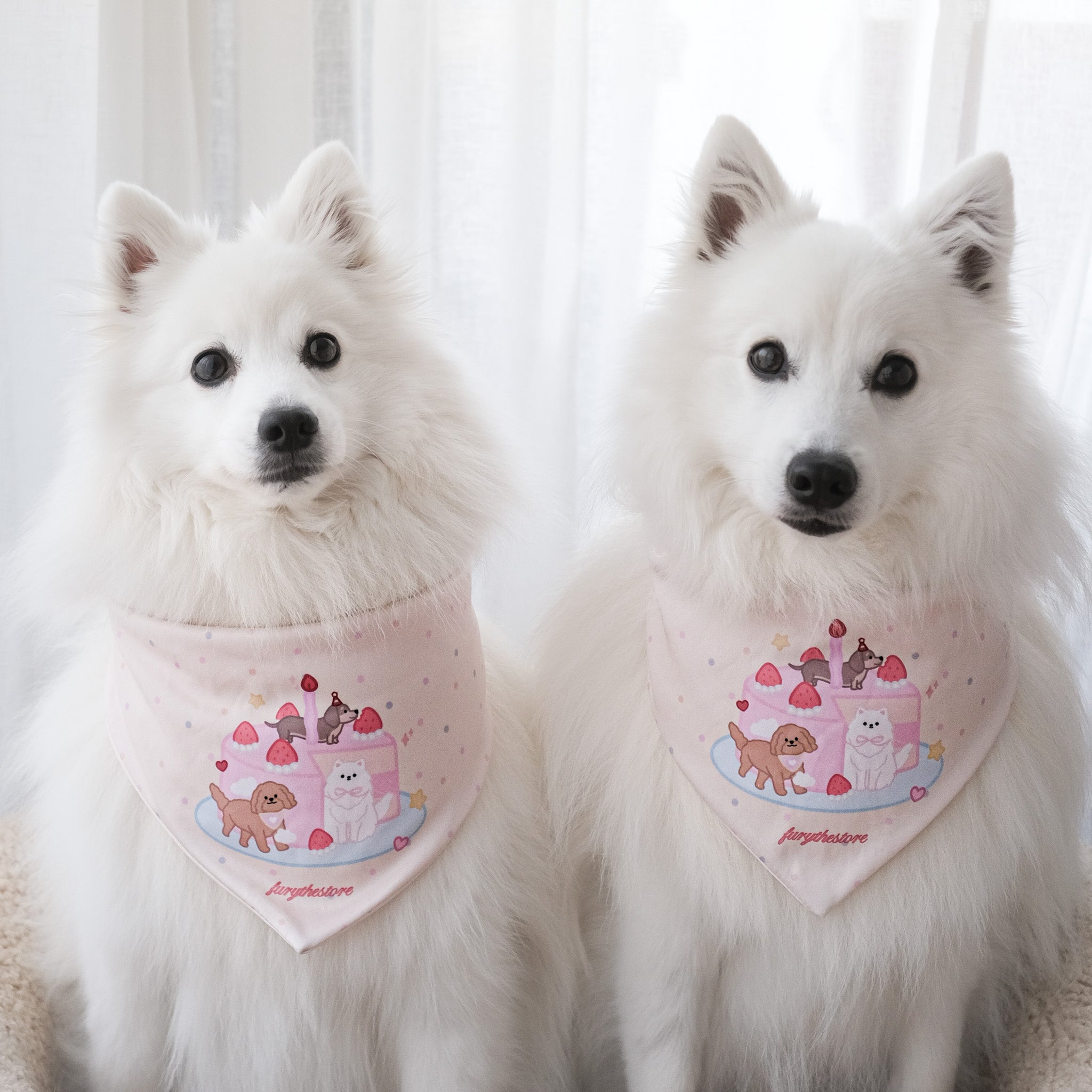 the birthday bandana