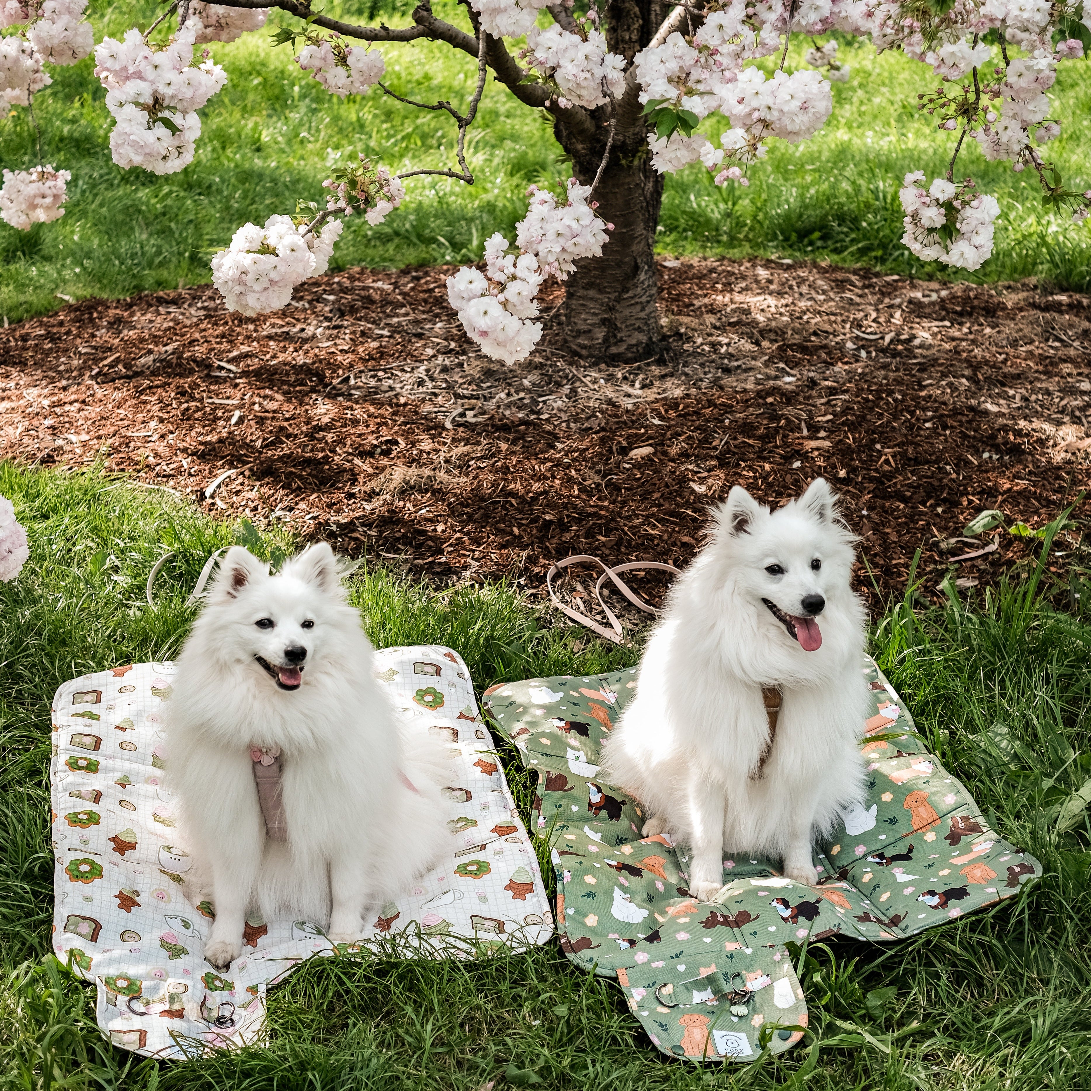 dogs at the park settle mat