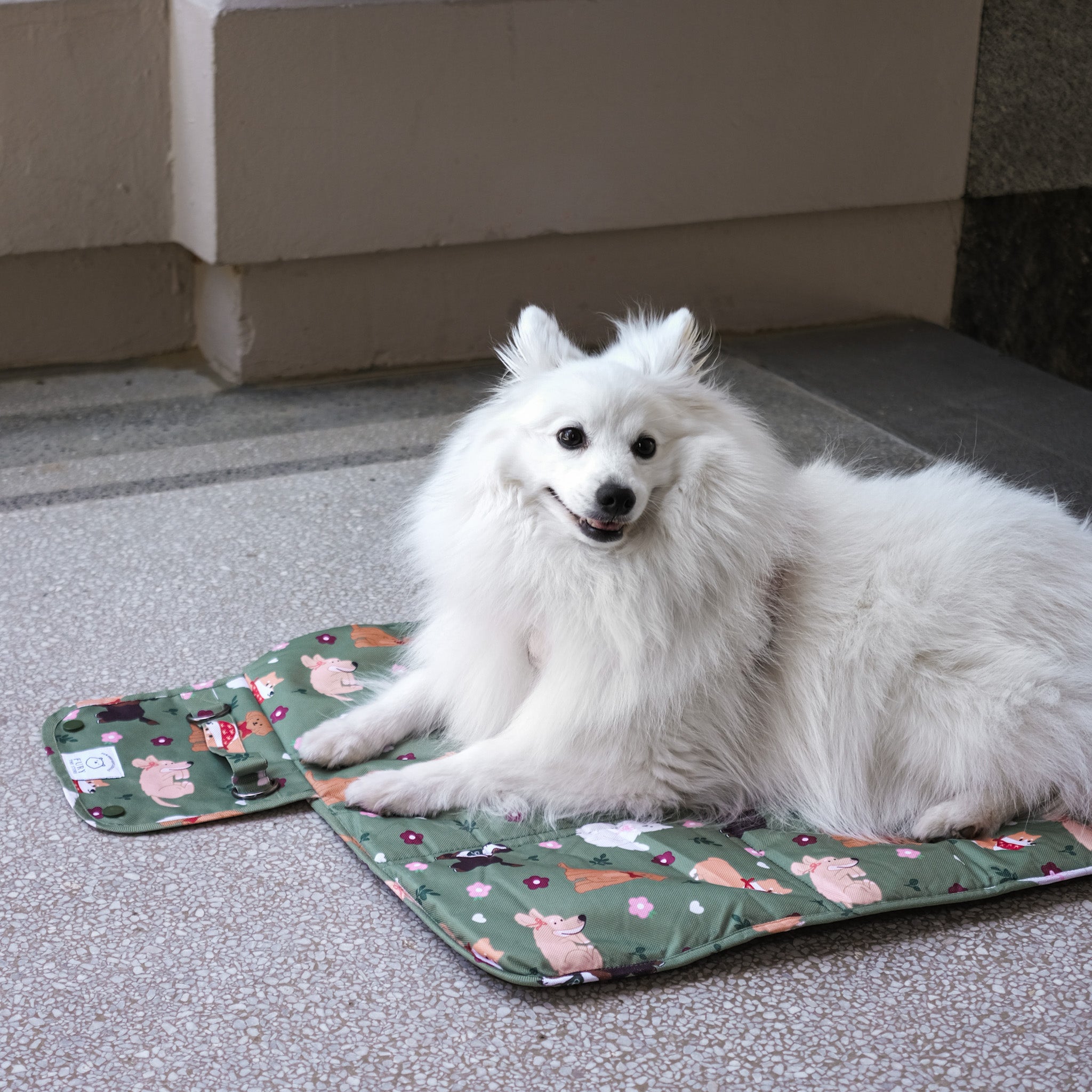 dogs at the park settle mat (bows edition)