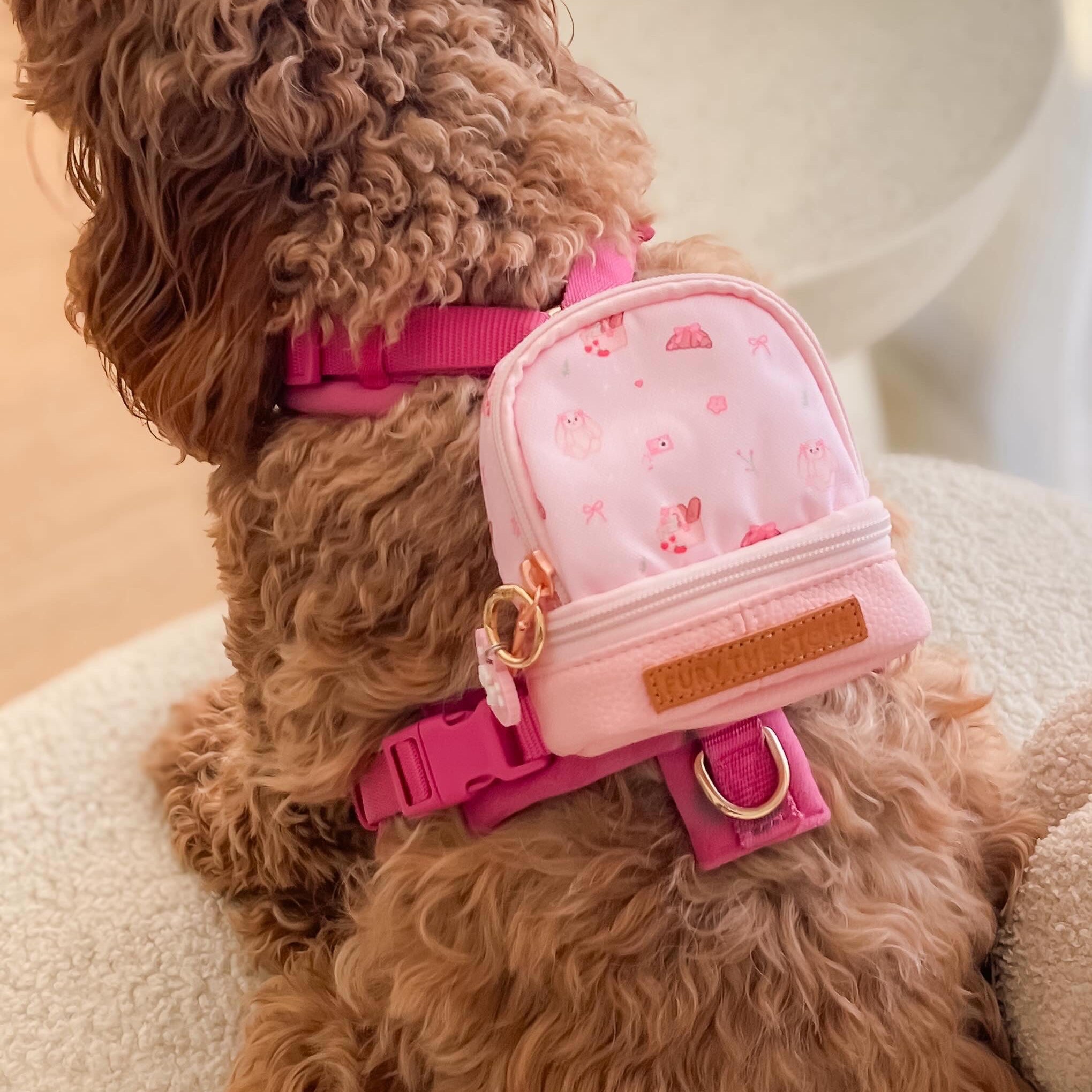 summit’s mini day pack