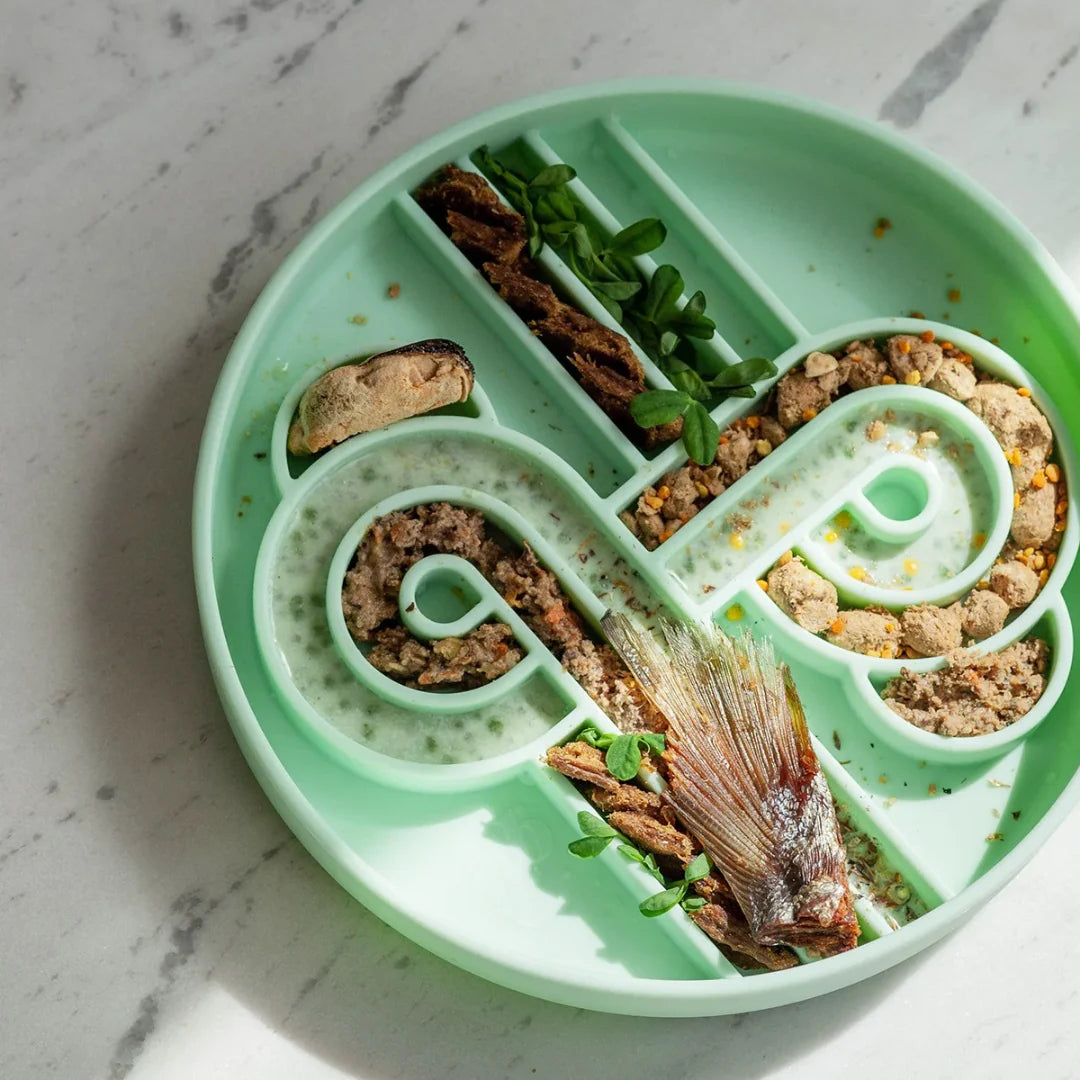 zoomies slow feeder bowl | ollie b good