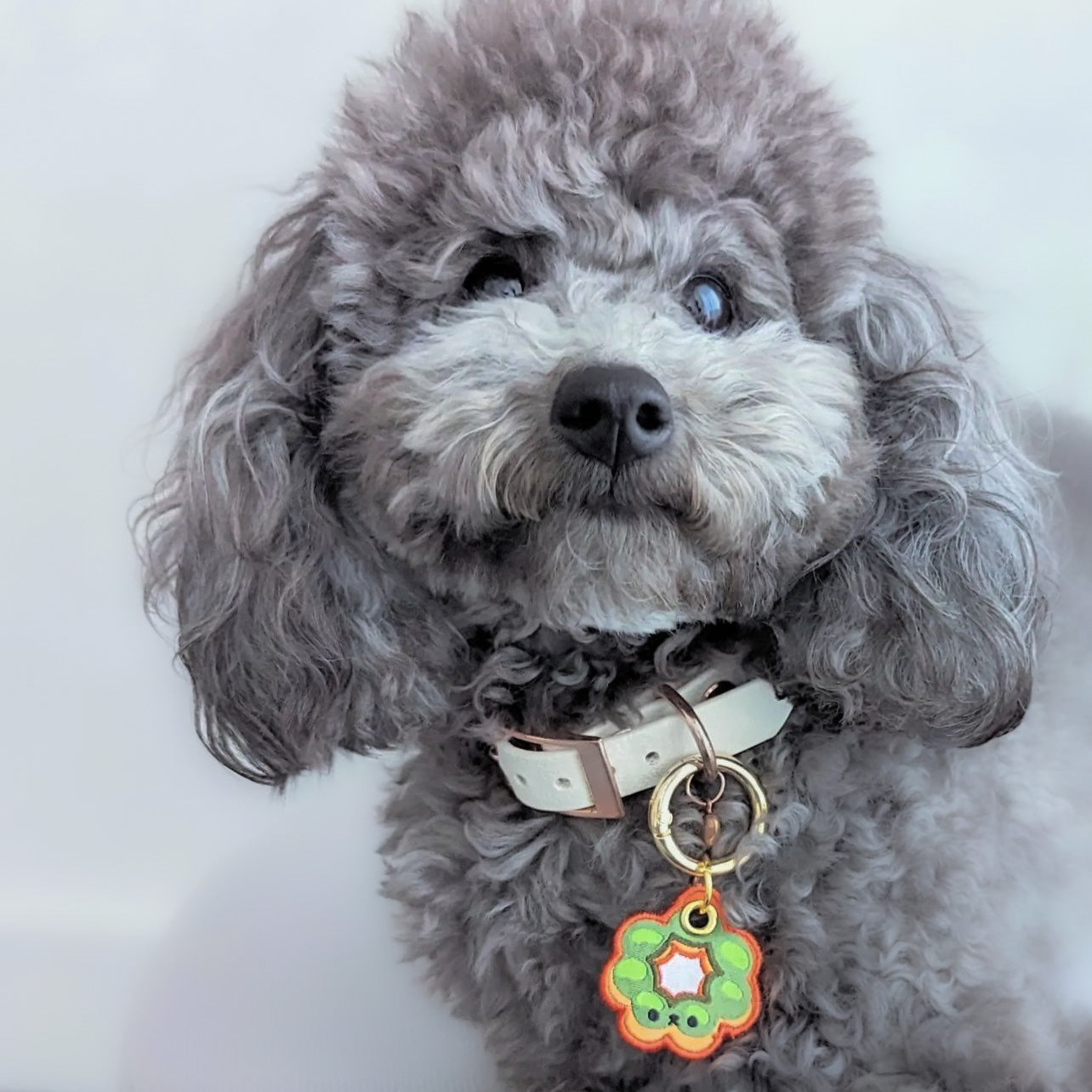 mochi donut charm tag