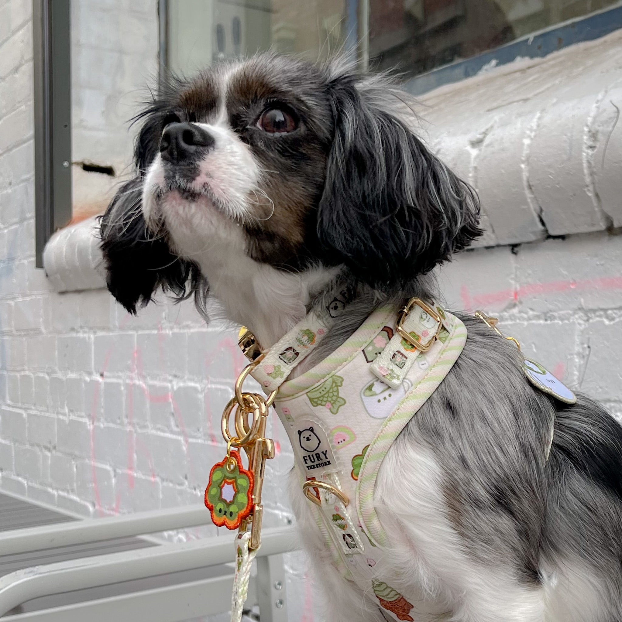 the tokyo collar