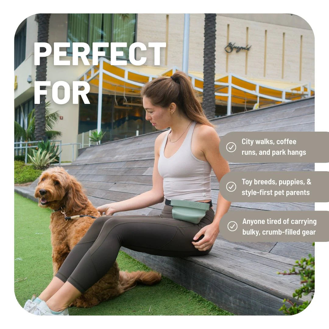 voila pets mini ultimate treat pouch