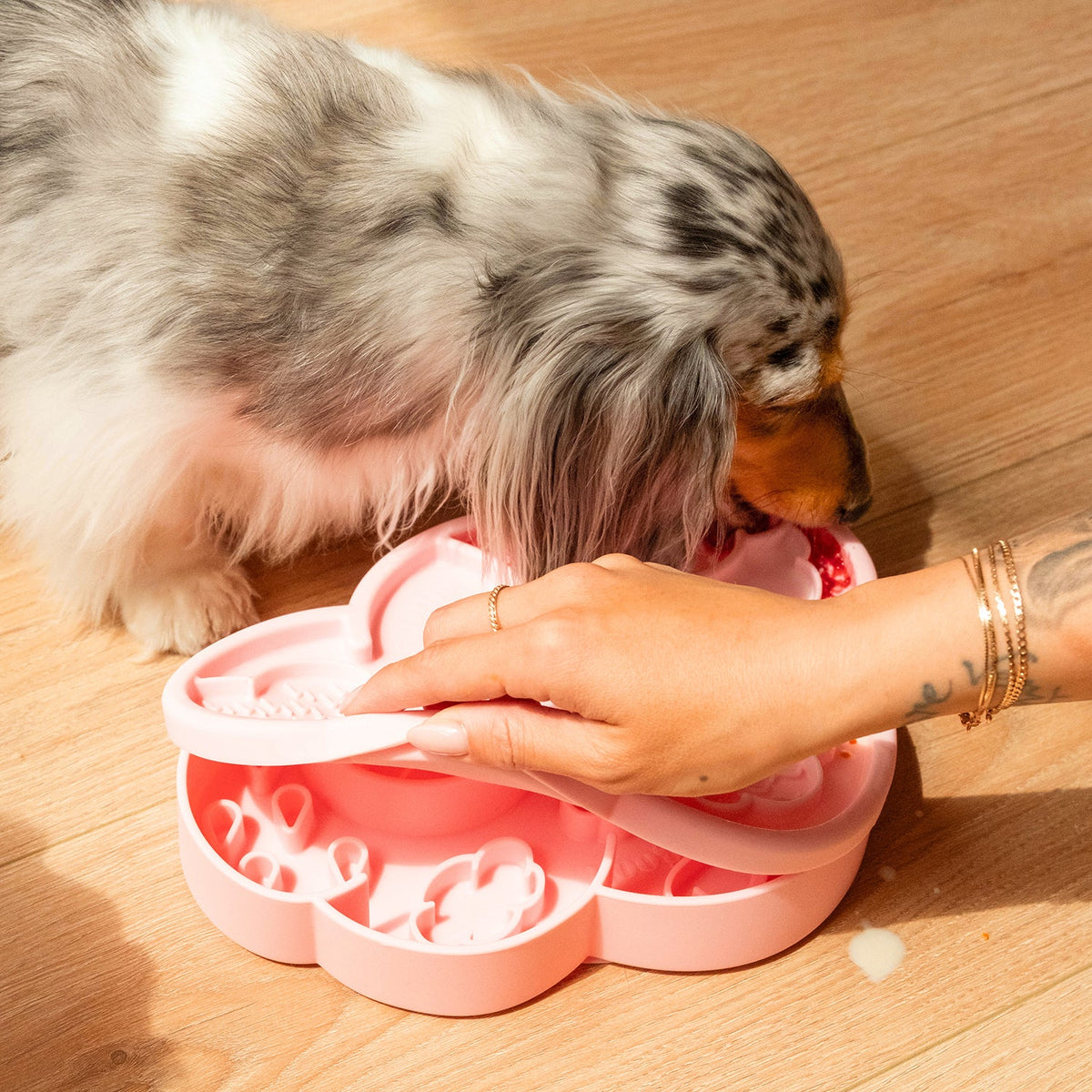 cloud nine lick mat & lid | olliebgood