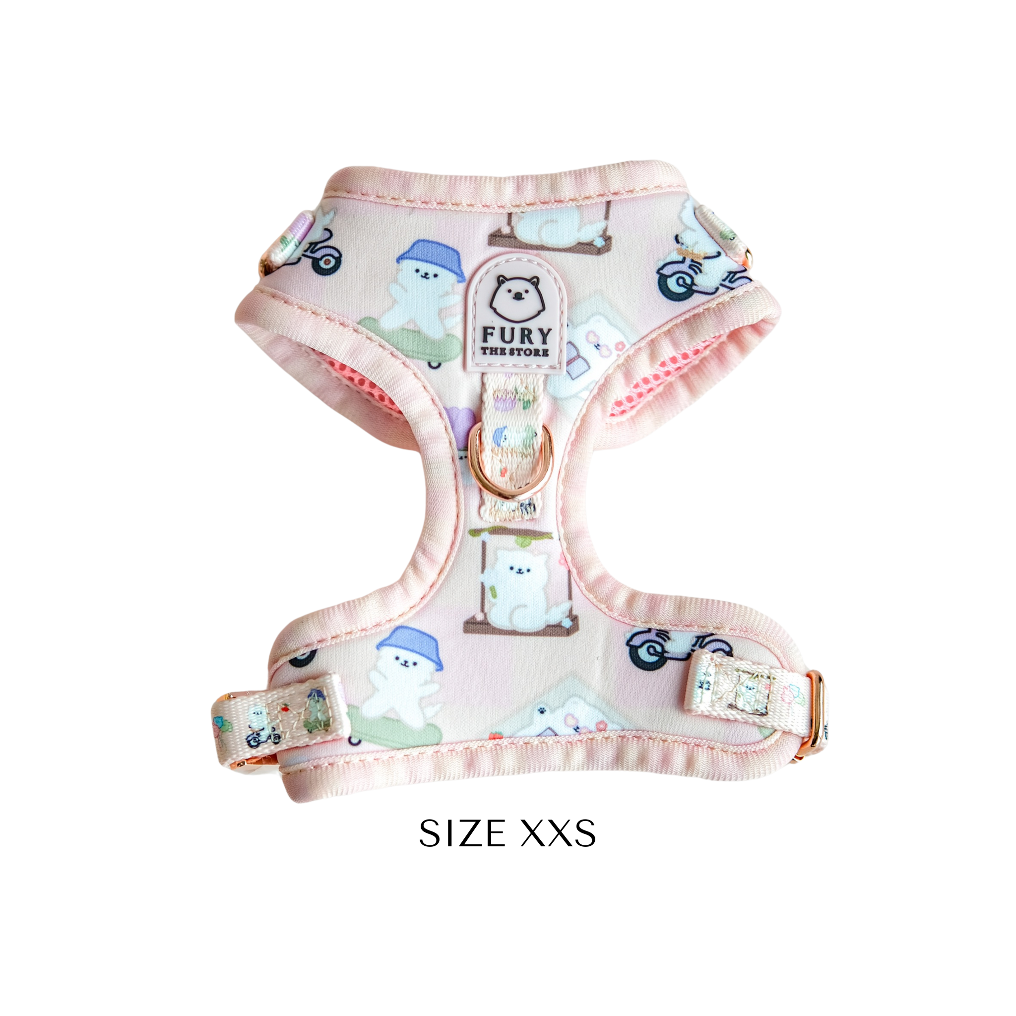 'summit in paris' harness