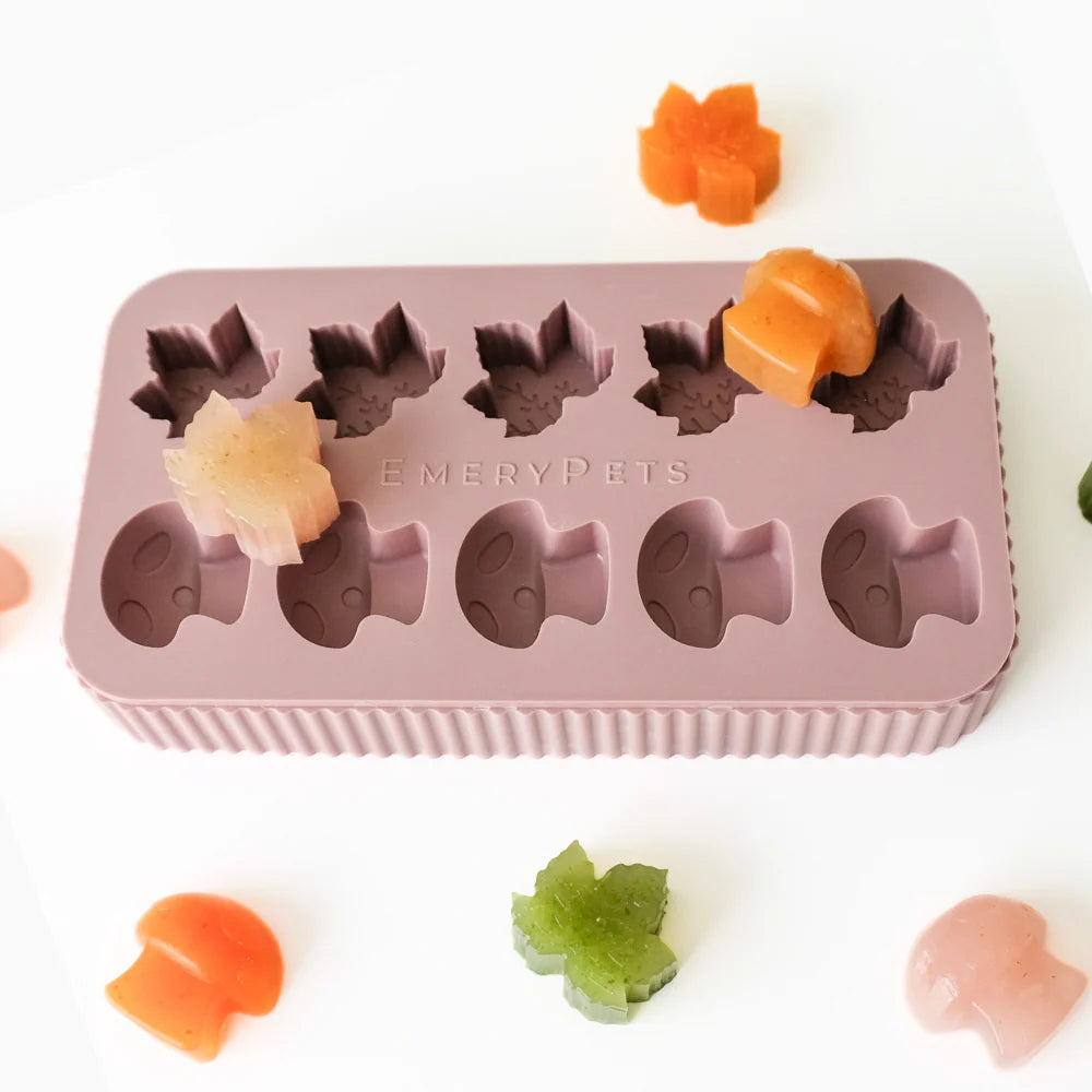 maple leaf + mushroom treat mold | emerypets