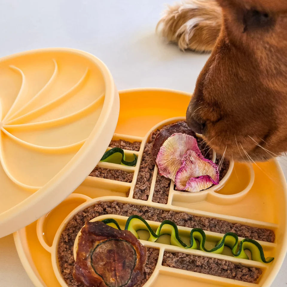 zoomies slow feeder bowl | ollie b good