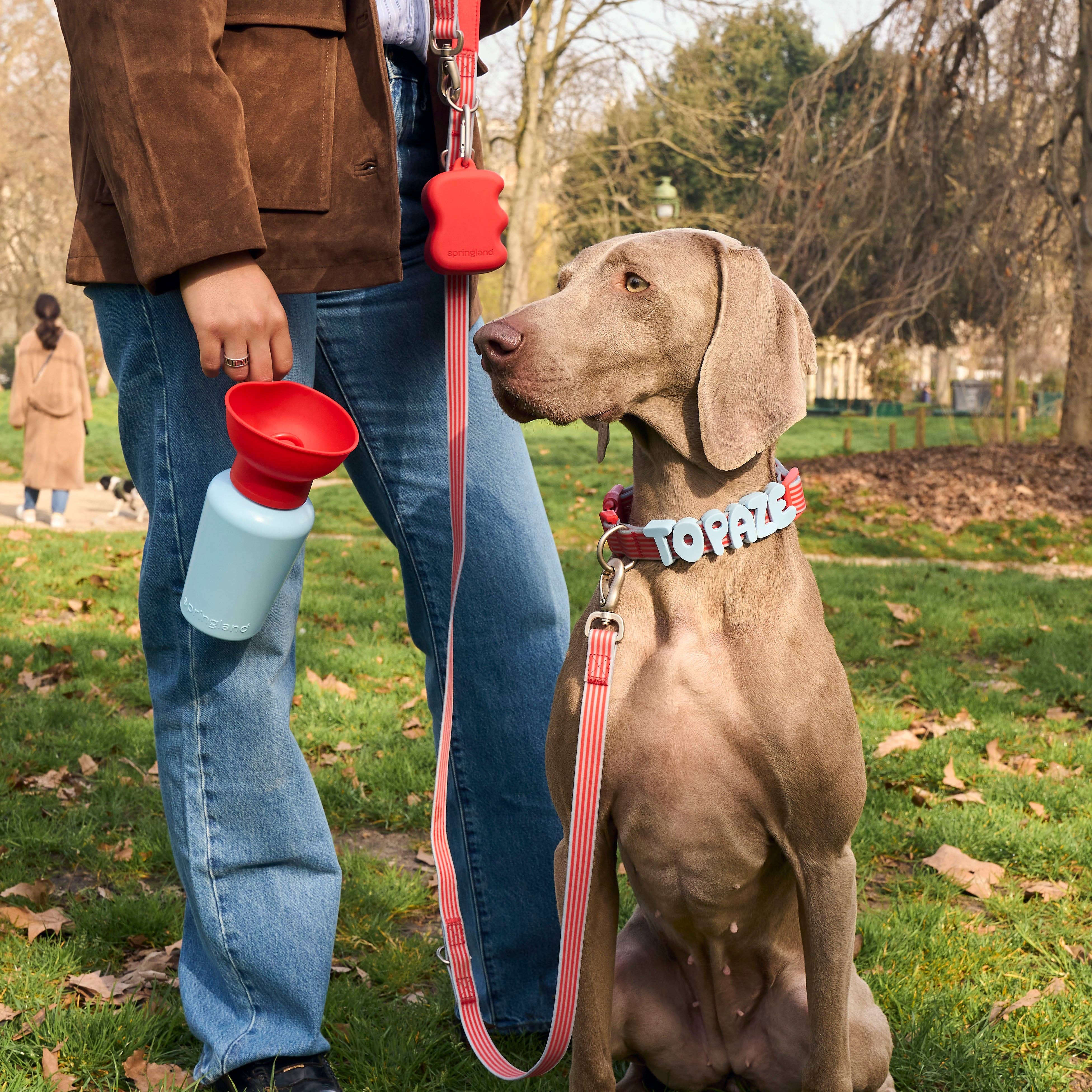 flip travel water bottle | springland pets