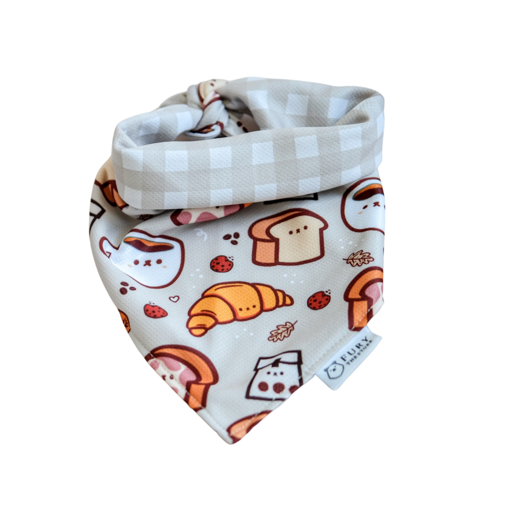 the melbourne reversible bandana