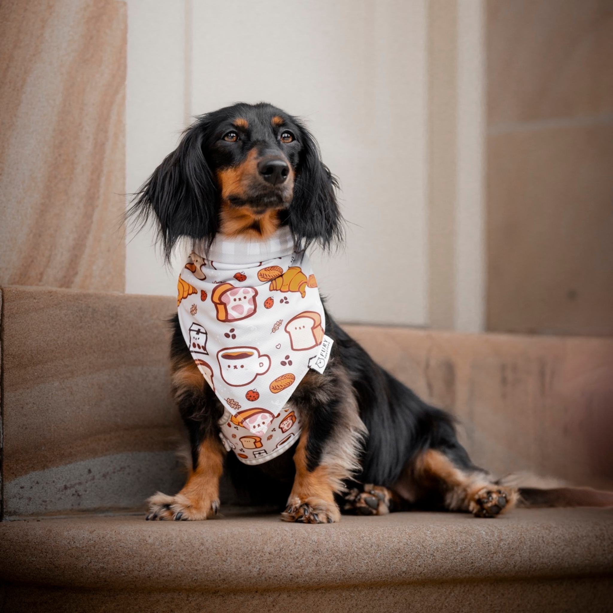 the melbourne reversible bandana