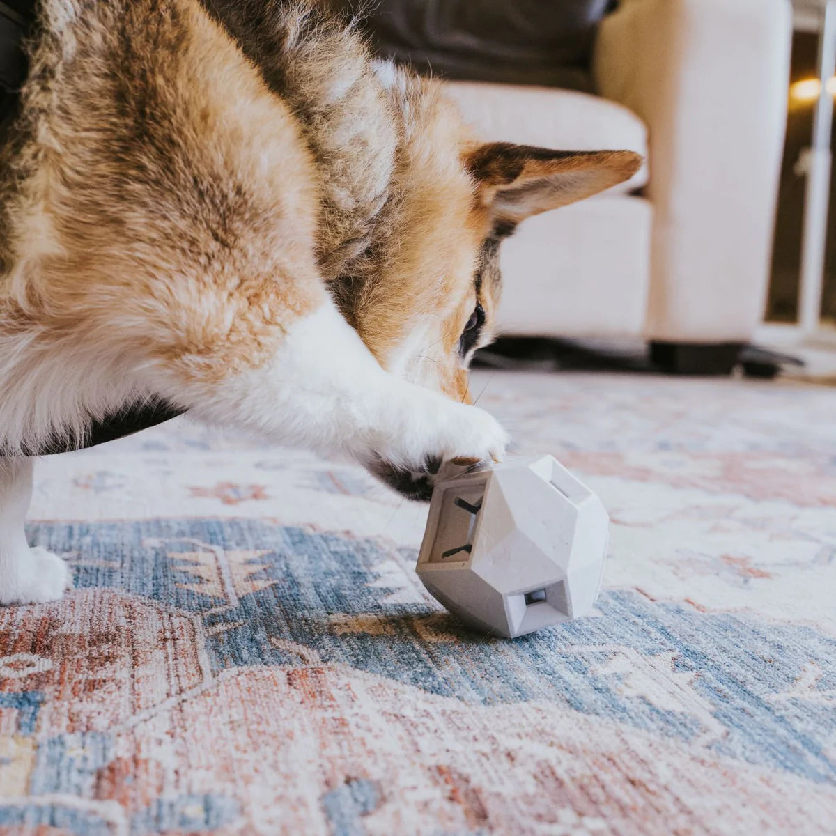 the odin puzzle toy