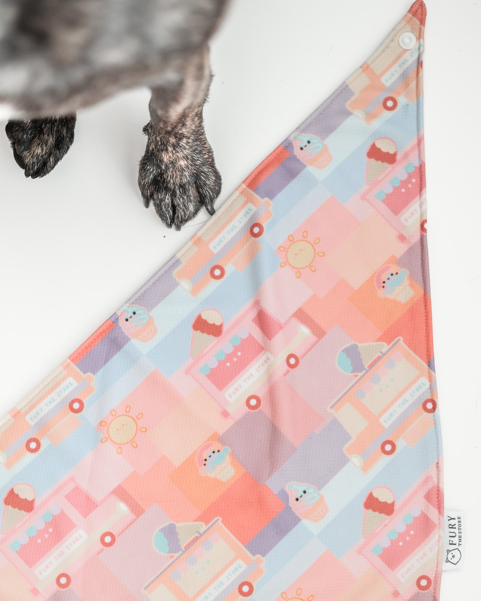 summertime reversible bandana