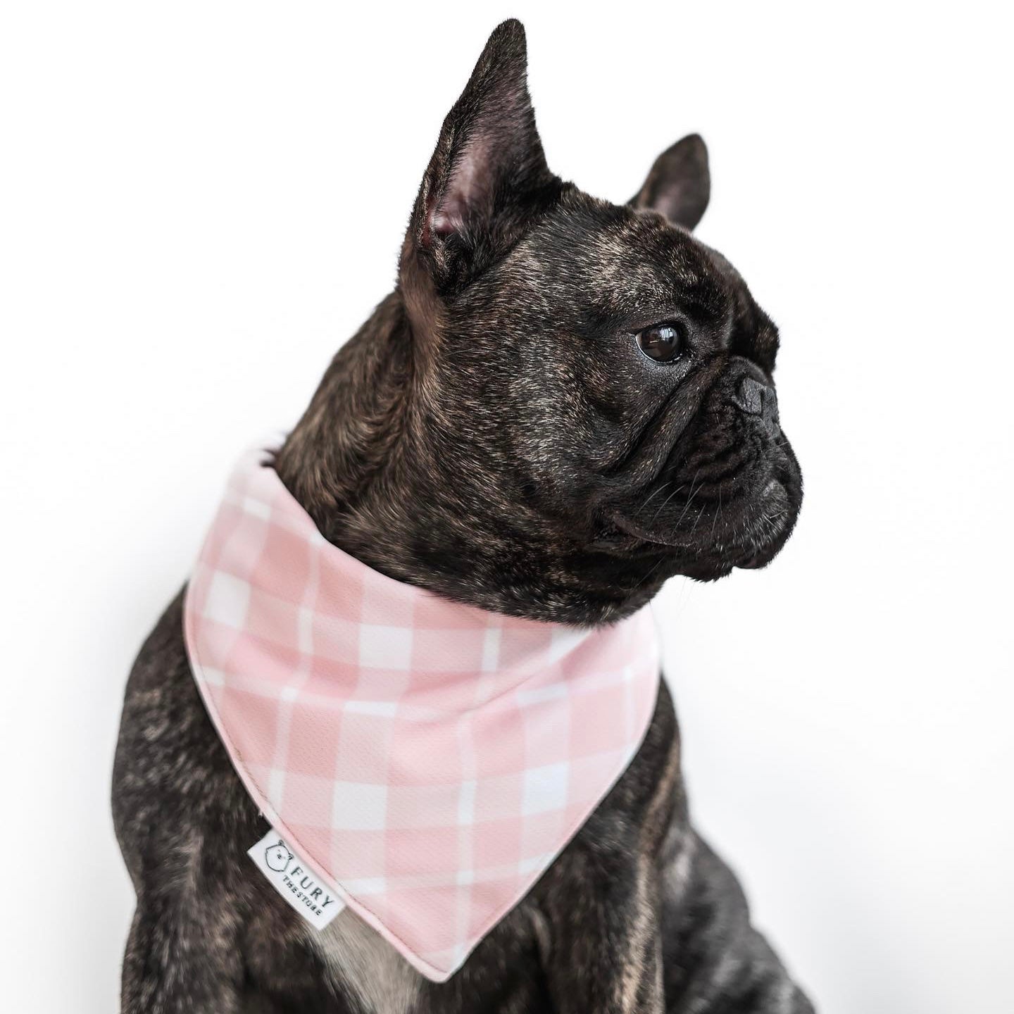 summertime reversible bandana