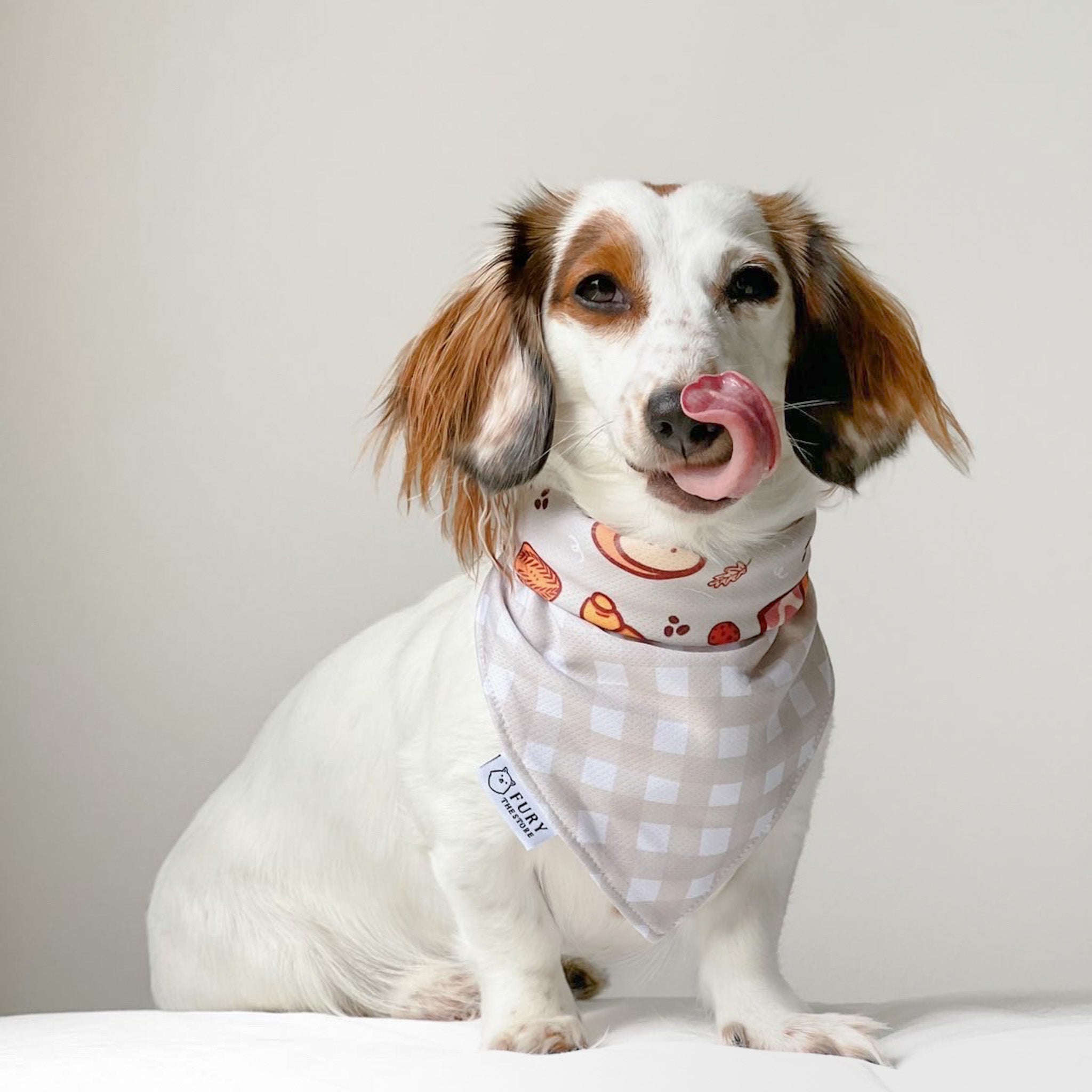 the melbourne reversible bandana